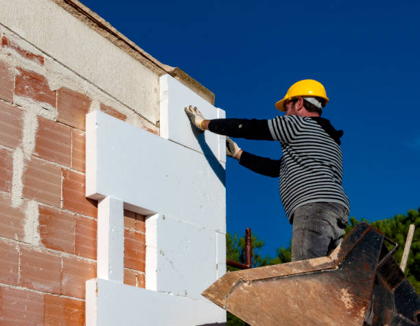Best Insulation Maintenance and Repair in Baxter Village, SC