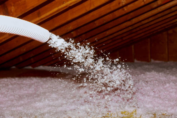  Baxter Village, SC Insulation Contractor Pros