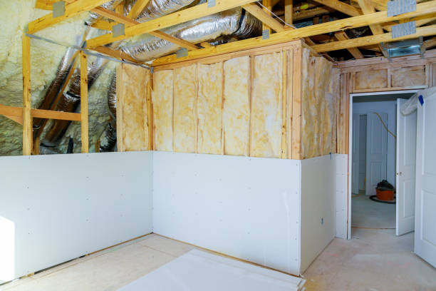 Best Eco-Friendly Insulation in Baxter Village, SC