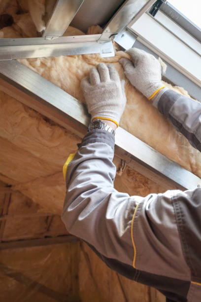 Best Insulation for Specific Applications in Baxter Village, SC